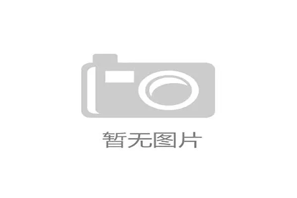 壹号旗舰网站全面解析:打造最专业的游戏资讯与玩家交流平台