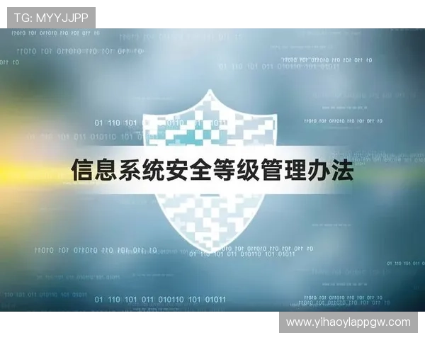 壹号线上官方入口：官方认证确保您的账户安全与信息保护